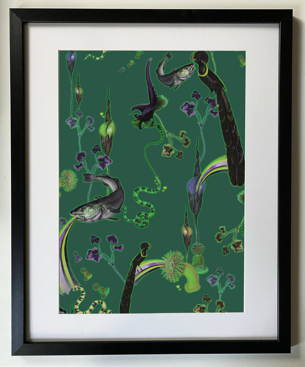 RainbowTrout (Absinthe) Fine Art print A3 / A2