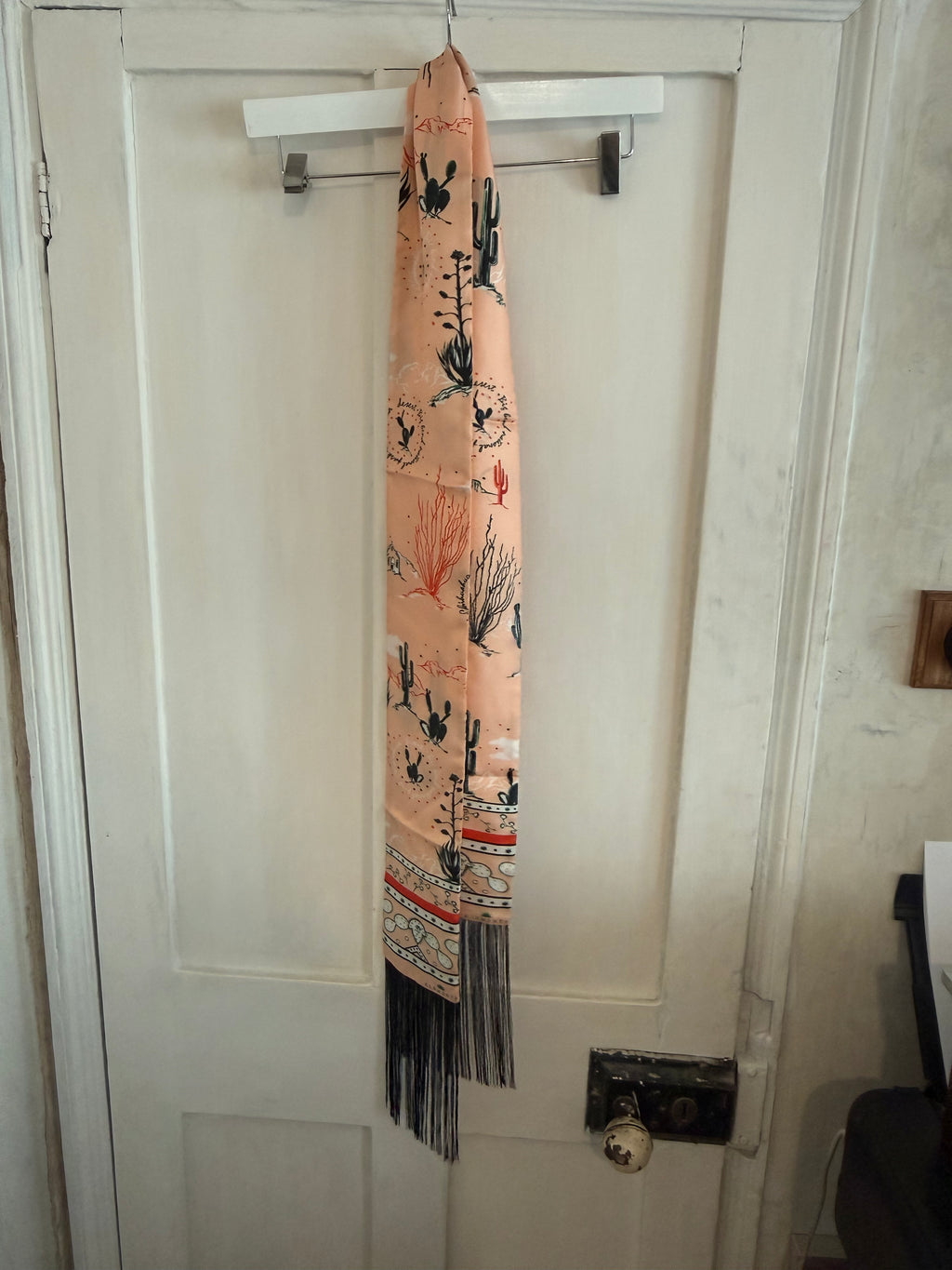 JUNE SAMPLE SALE skinny silk tassle scarf