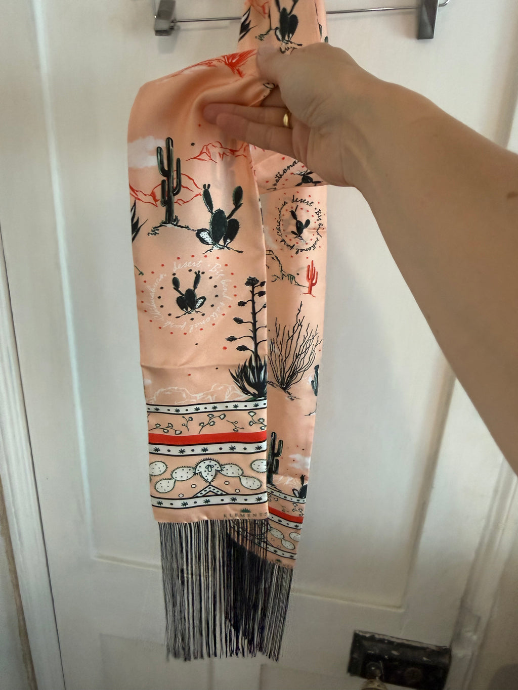 JUNE SAMPLE SALE skinny silk tassle scarf
