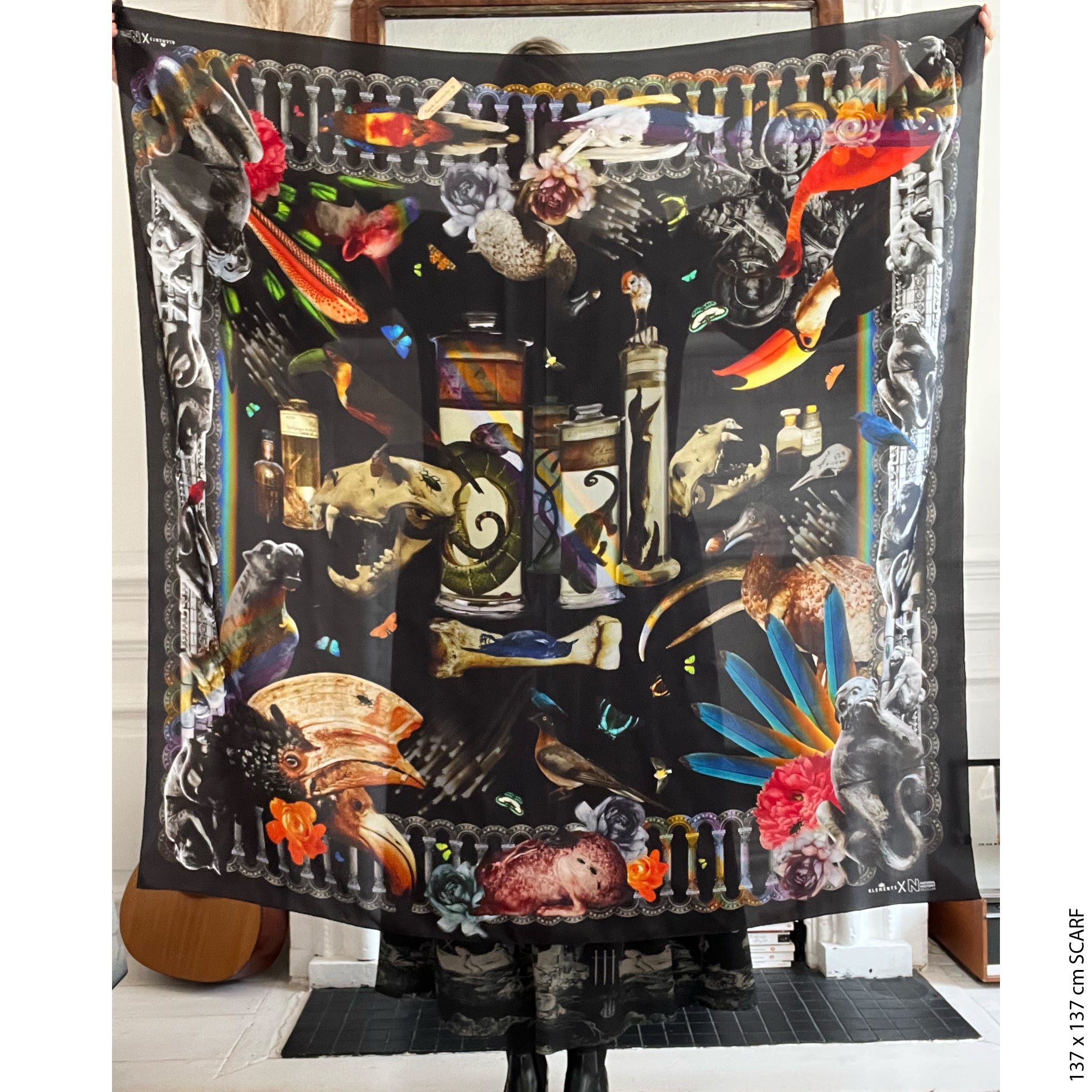Natural History silk scarf (two size options)