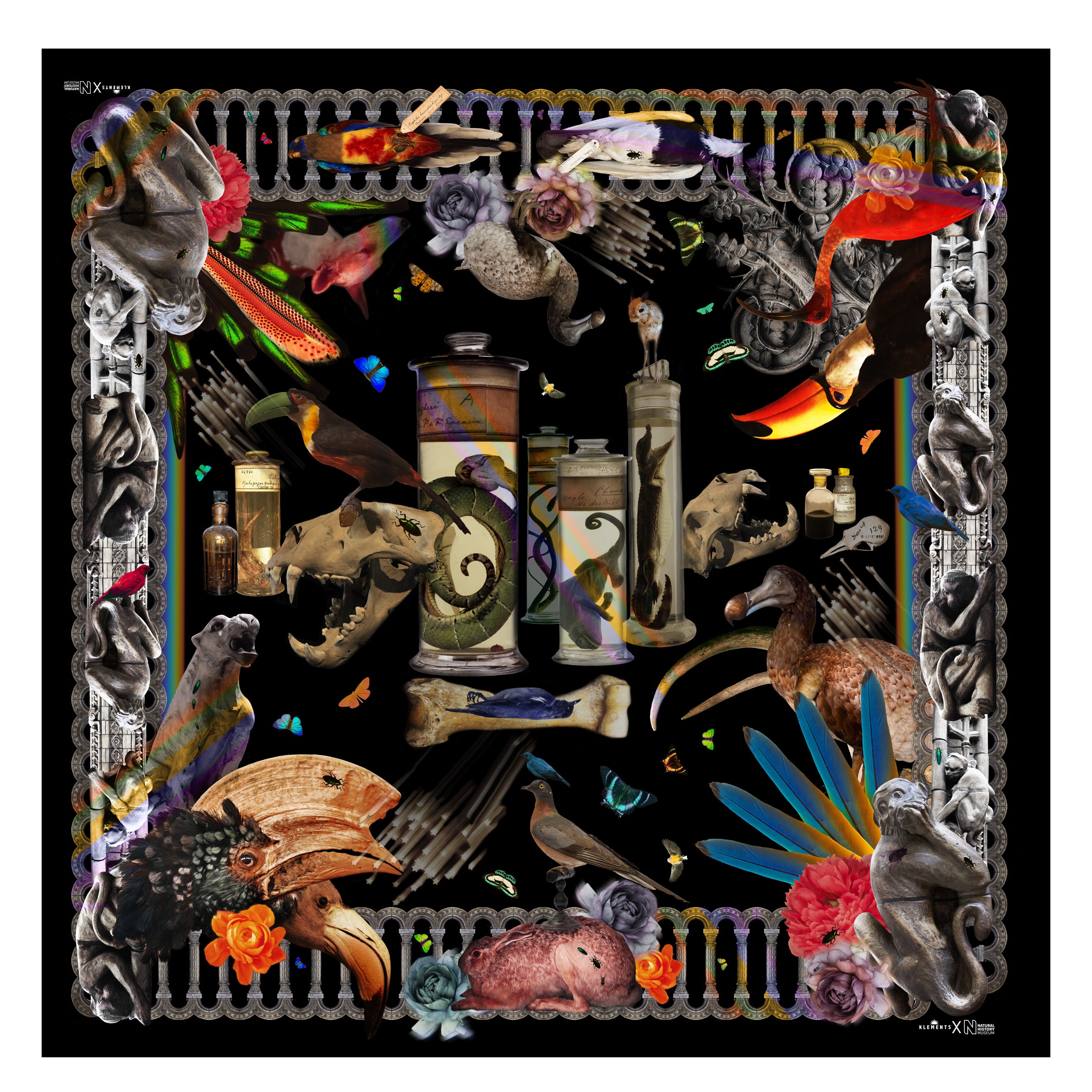 Natural History silk scarf (two size options)
