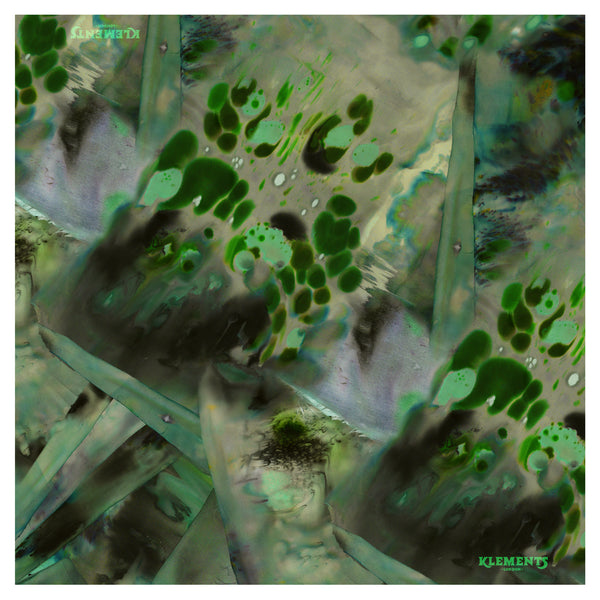 Swamp silk chiffon giant scarf
