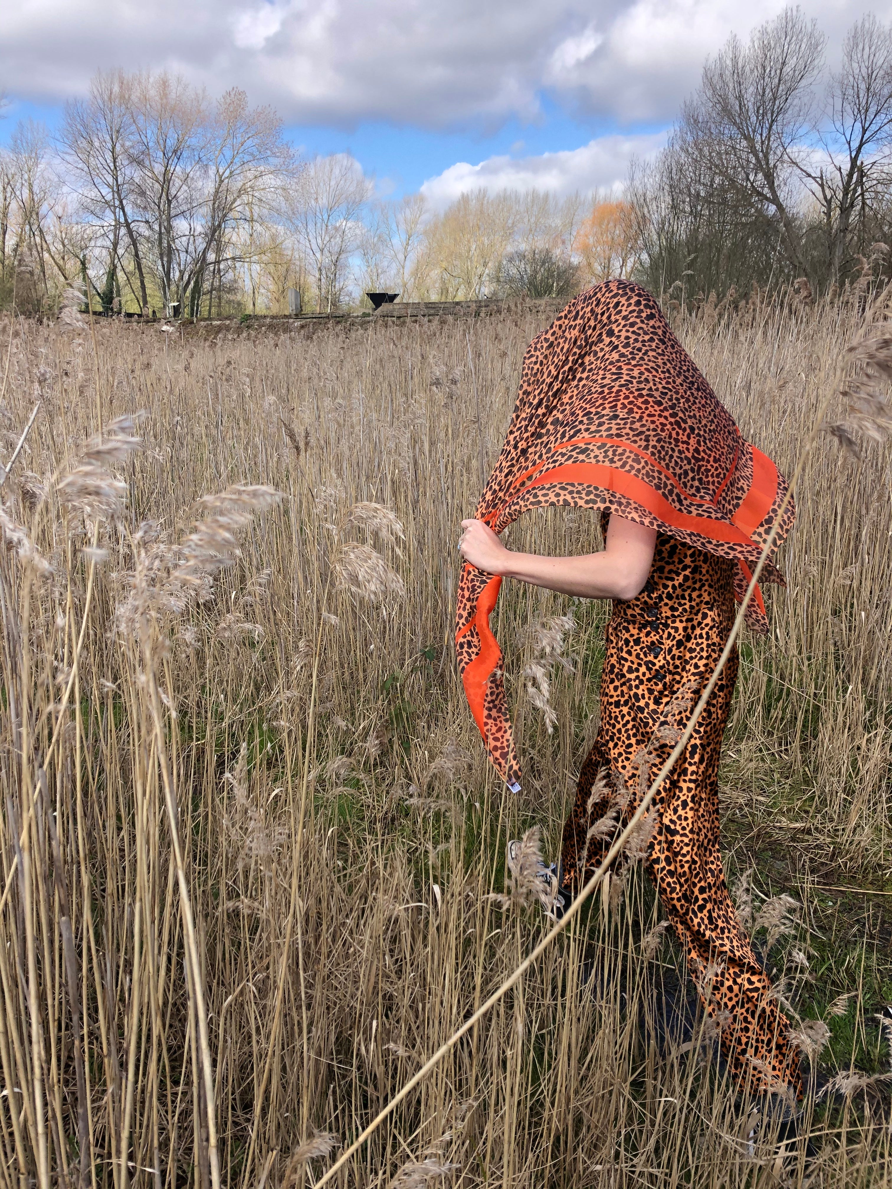 Silk Scarf in Leonard's Skin Cheetah