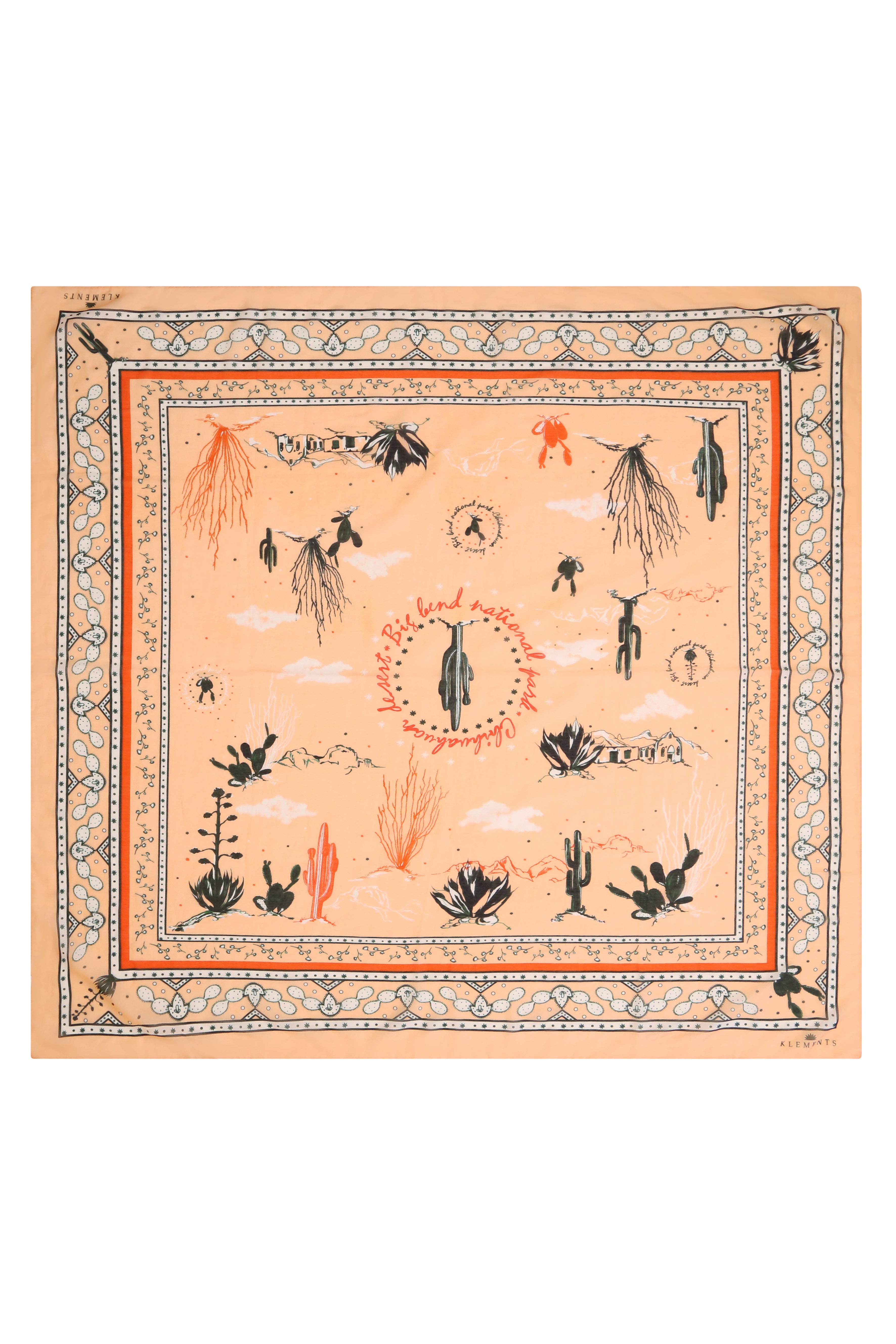 Silk Scarf in Chihuahuan Desert