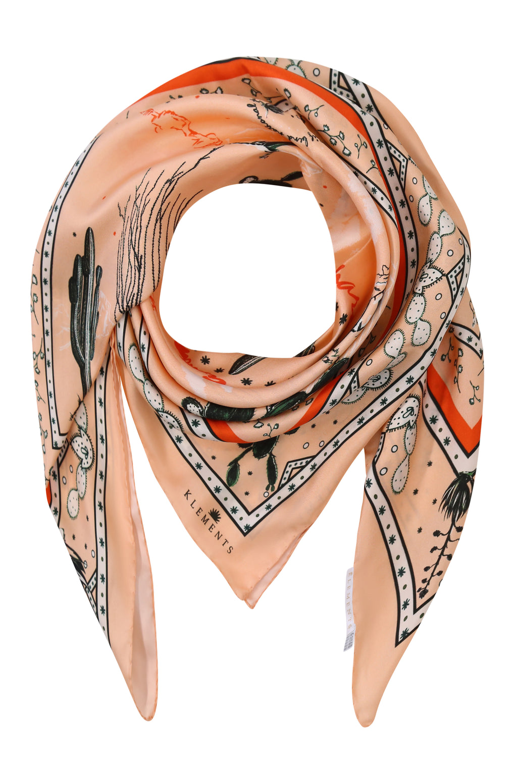 Silk Scarf in Chihuahuan Desert