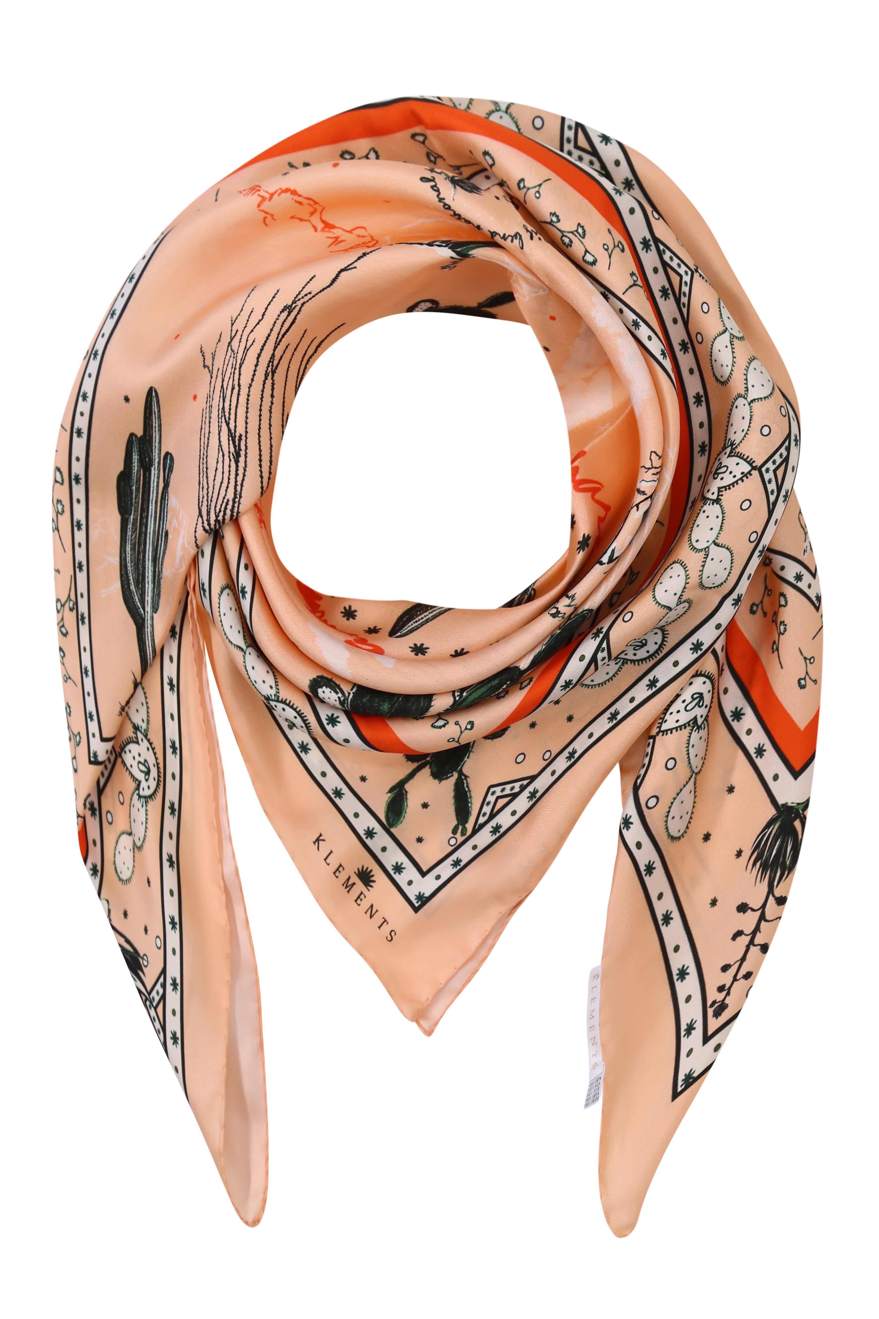 Silk Scarf in Chihuahuan Desert