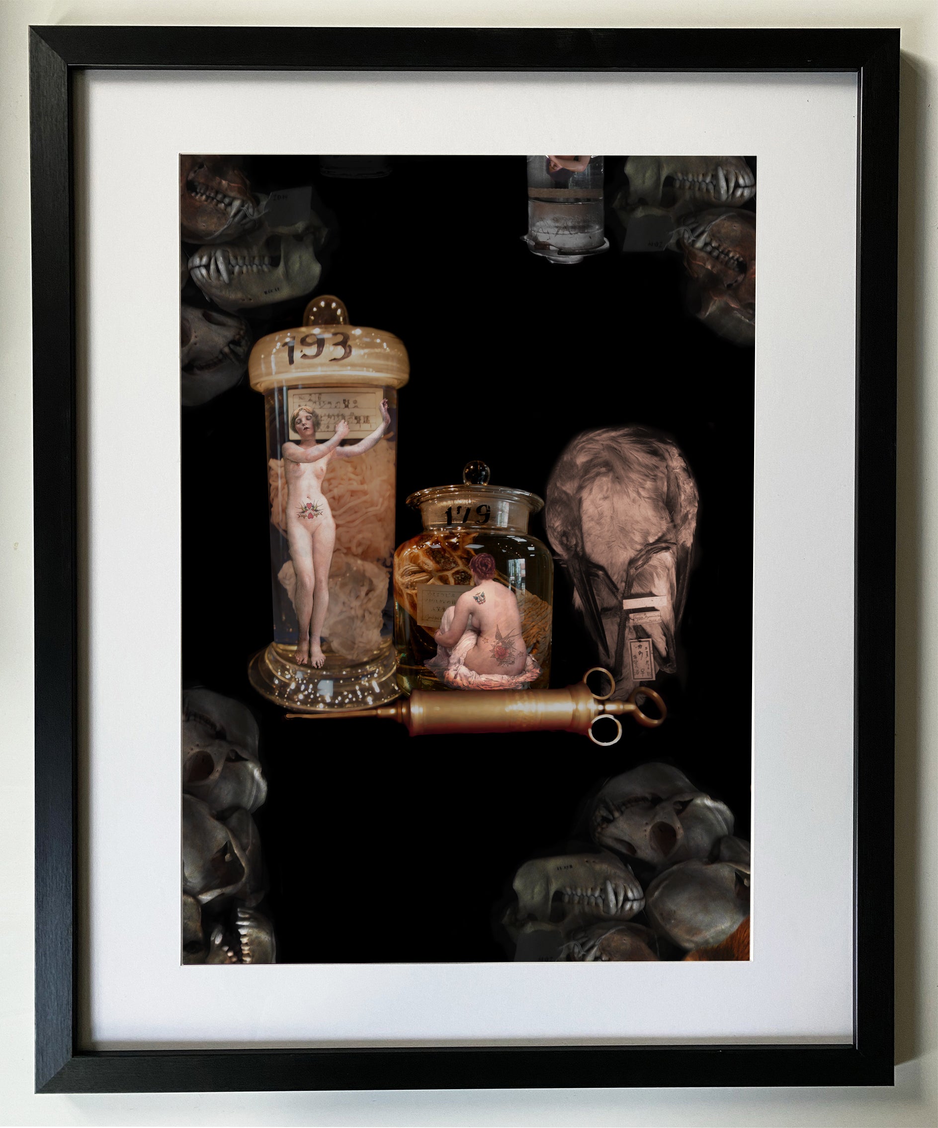 Natural history Fine Art print A3 / A2