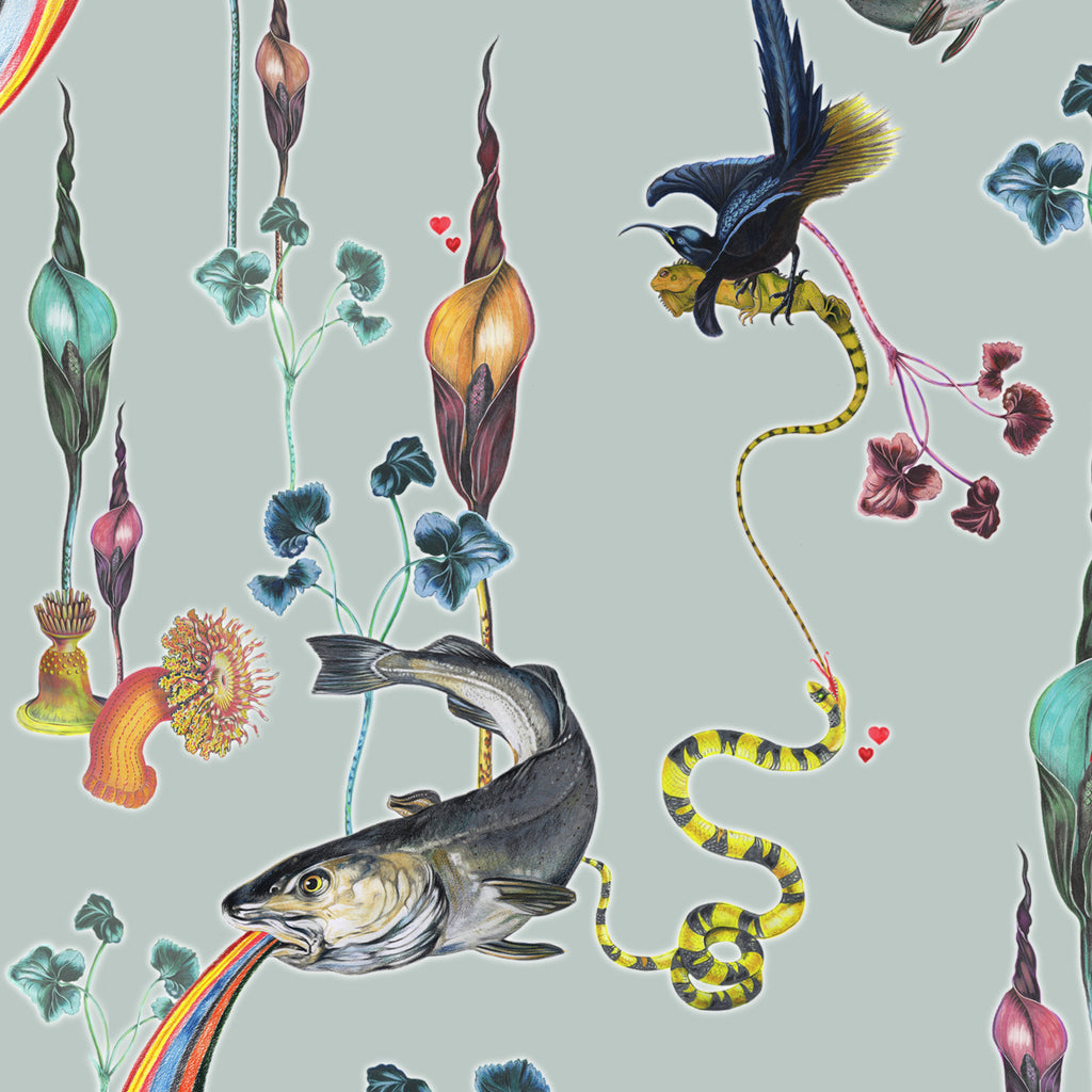 Rainbow Trout (blue) Wallpaper