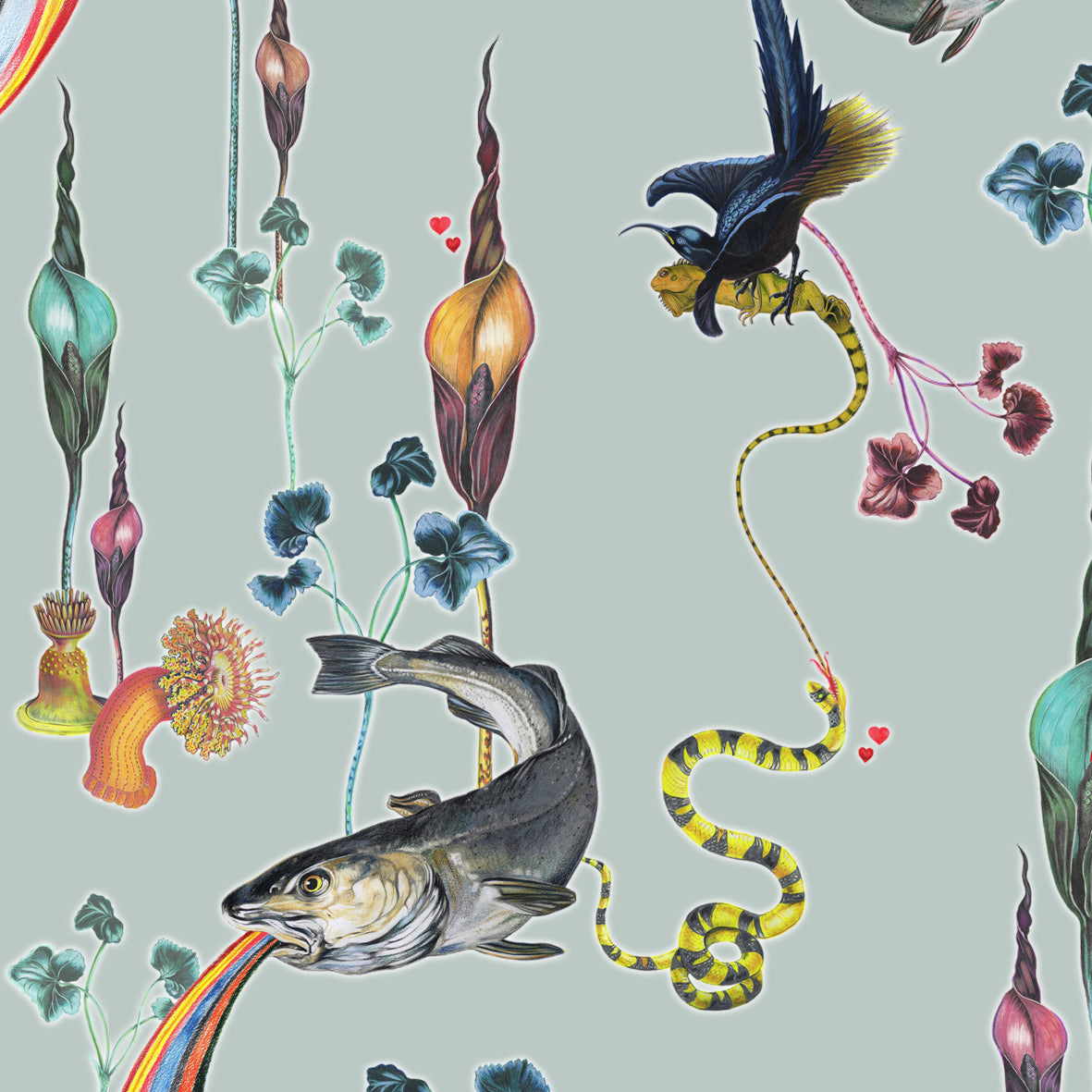 Rainbow Trout (blue) Wallpaper