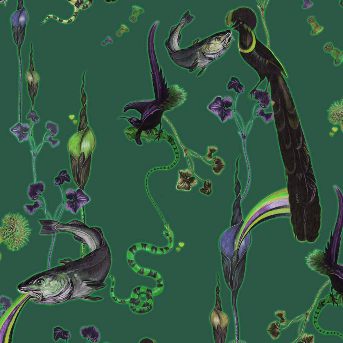 Rainbow Trout (Absinthe) Wallpaper