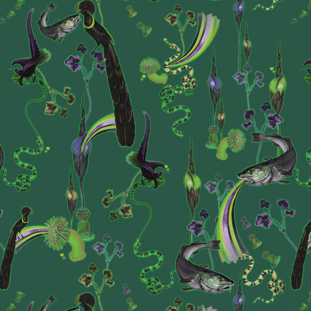 Rainbow Trout (Absinthe) Wallpaper