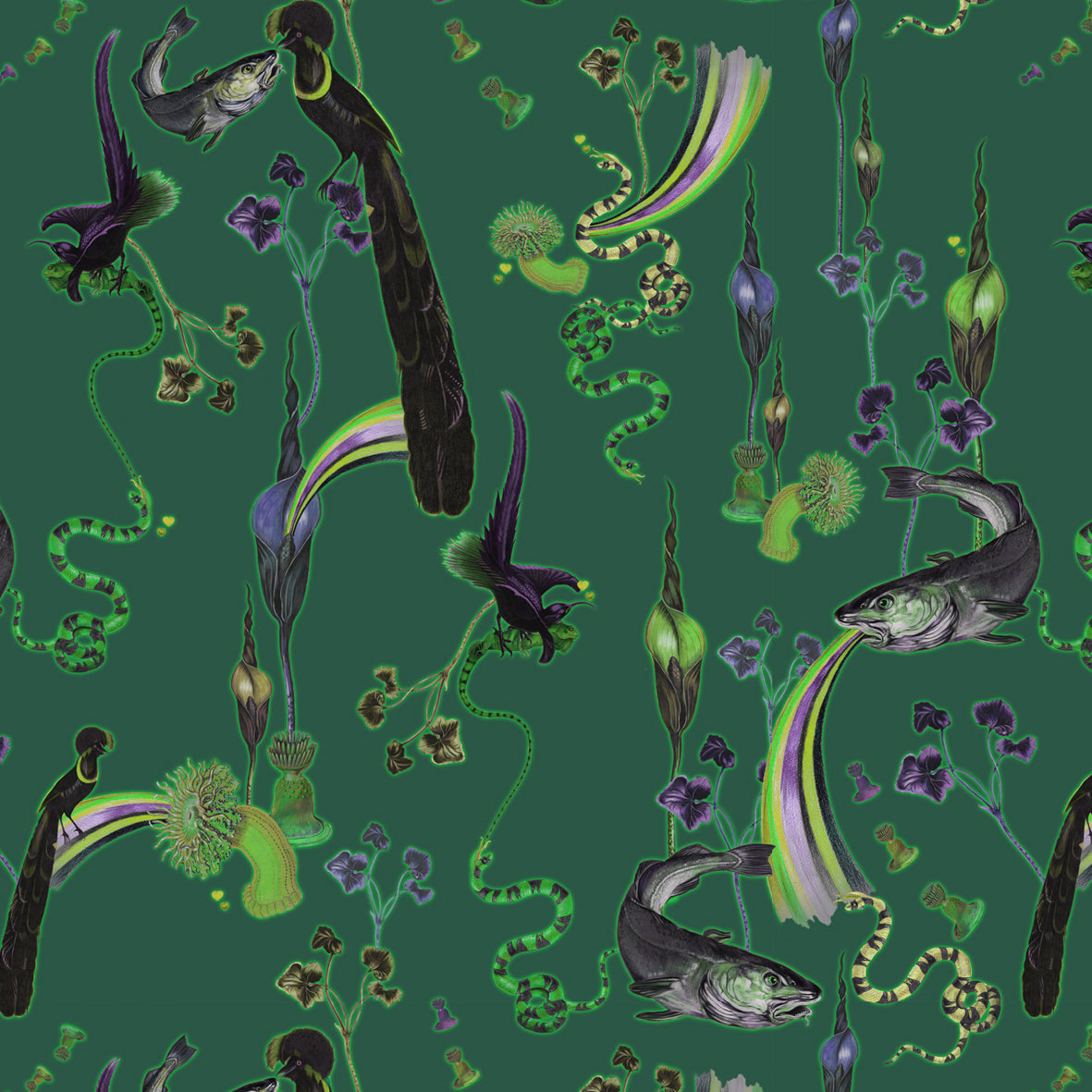 Rainbow Trout (Absinthe) Wallpaper